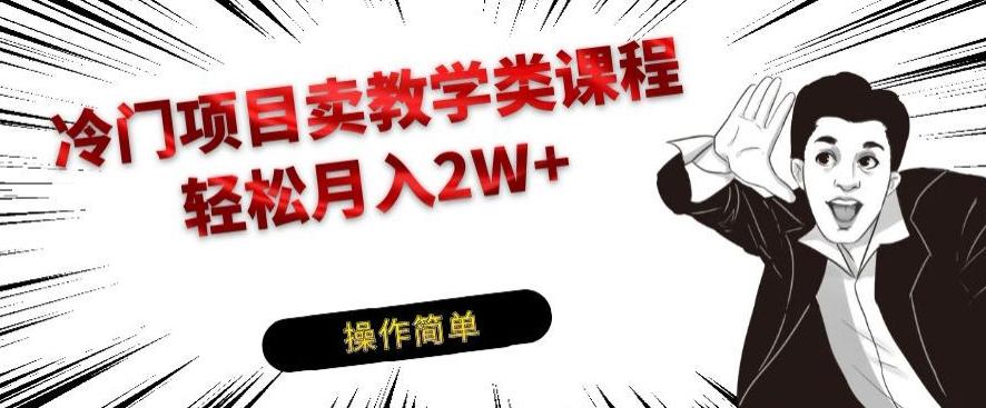冷门项目卖教学类课程，轻松月入2W+-心语项目网