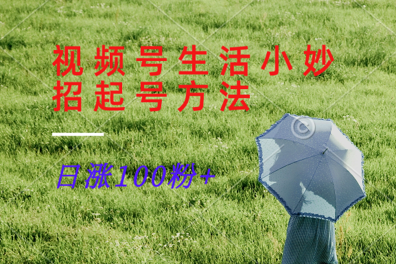 视频号生活小妙招分享赛道， 起号涨粉新方法，日涨100粉-心语项目网