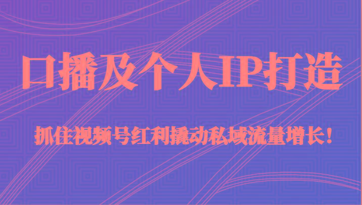 口播及个人IP打造，抓住视频号红利撬动私域流量增长！（45节课）-心语项目网