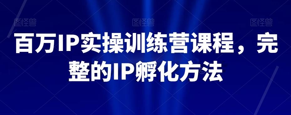 百万IP实操训练营课程，完整的IP孵化方法-心语项目网