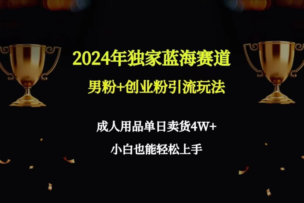 2024年独家蓝海赛道男粉+创业粉引流玩法，成人用品单日卖货4W+保姆教程-心语项目网