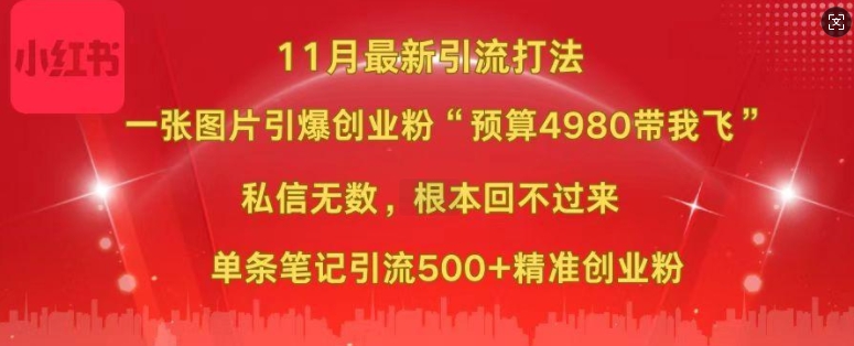 小红书11月最新图片打粉，一张图片引爆创业粉，“预算4980带我飞”，单条引流500+精准创业粉-心语项目网