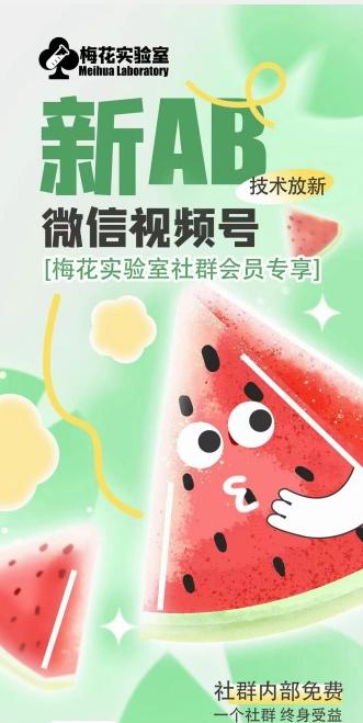 梅花实验室2024年AB技术视频号AB合成破解版-心语项目网