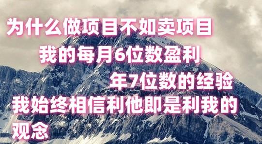 做项目不如卖项目，每月6位数盈利，年7位数经验-心语项目网