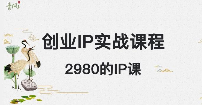 外边卖2980的创业IP课程，做私域月入5w+-心语项目网
