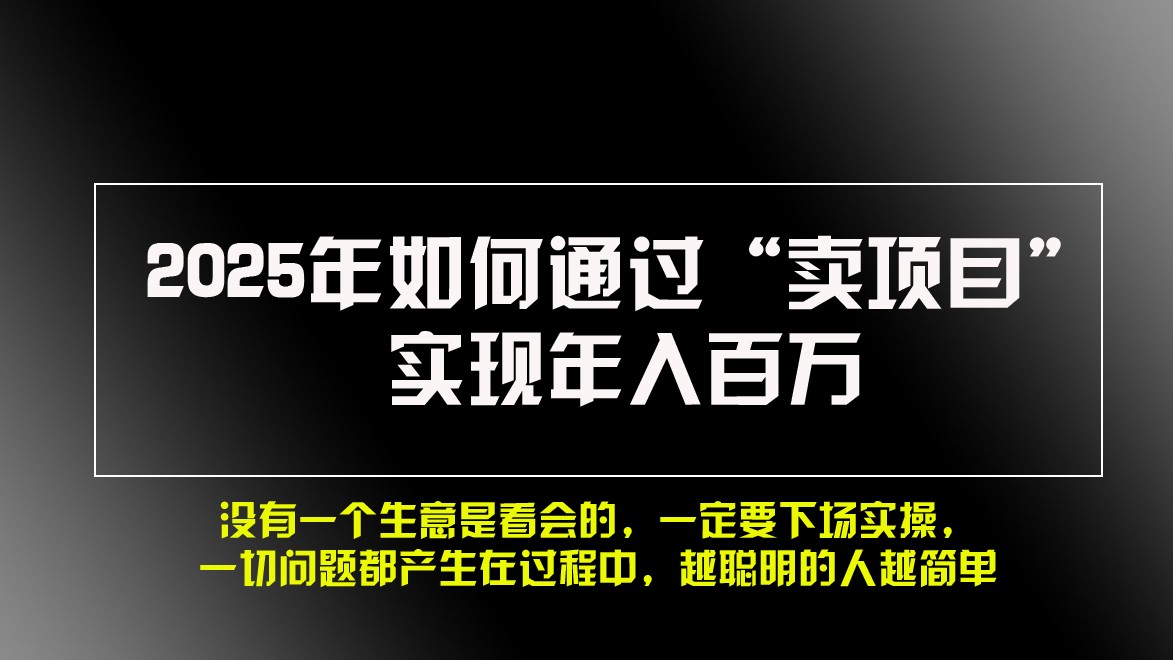 2025年如何通过“卖项目”实现年入百万-心语项目网