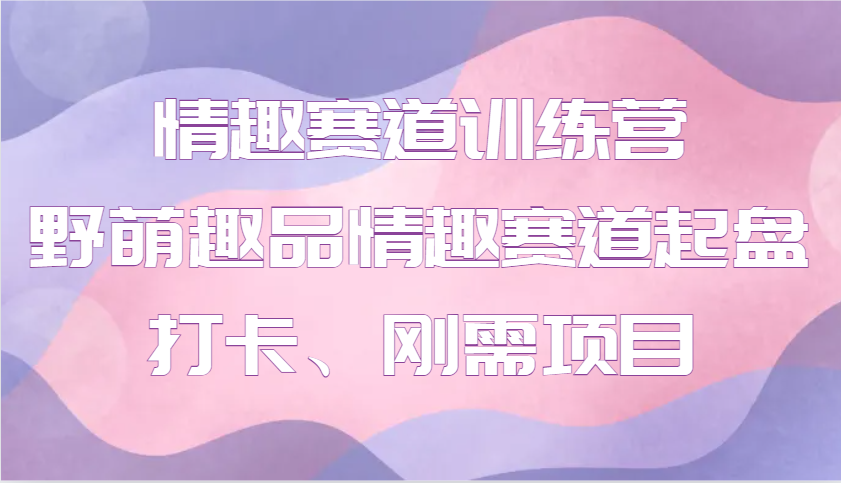 情趣赛道训练营 野萌趣品情趣赛道起盘打卡、刚需项目-心语项目网