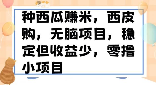 种西瓜赚米，西皮购稳定长久零撸小项目-心语项目网