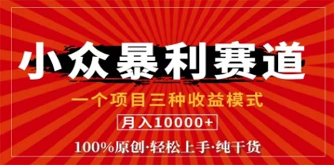视频号最新爆火赛道，三种可收益模式，0粉新号条条原创条条热门 日入1000+-心语项目网