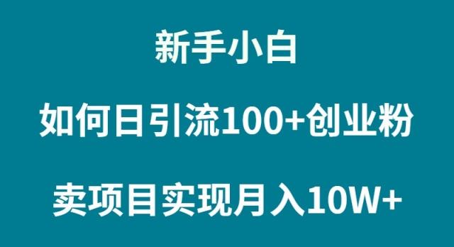 (9556期)新手小白如何通过卖项目实现月入10W+-心语项目网