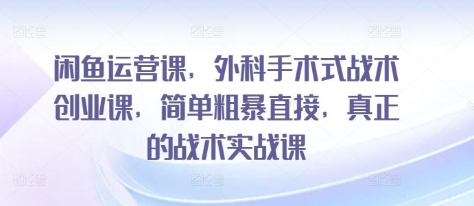 闲鱼运营课，外科手术式战术创业课，简单粗暴直接，真正的战术实战课-心语项目网