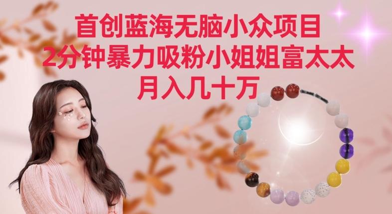 首创蓝海无脑小众项目，2分钟暴力吸粉小姐姐富太太，月入几十万【揭秘】-心语项目网