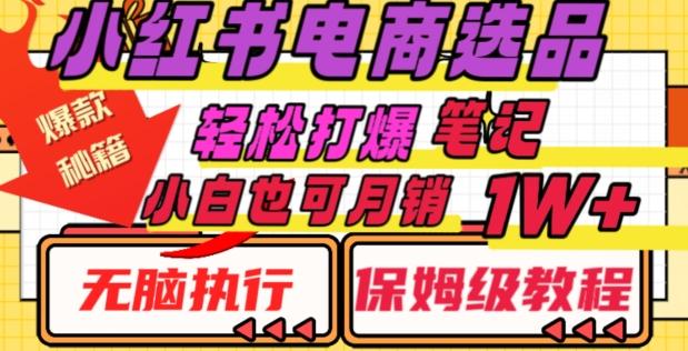 小红书电商爆款选品秘籍,帮你轻松打爆笔记,小白也可轻松月销10000+