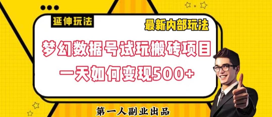 数据号回归玩法游戏试玩搬砖项目再创日入500+【揭秘】-心语项目网