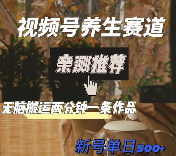 视频号养生赛道暴力掘金，无脑搬运，两分钟一条作品-新日单入500+-心语项目网