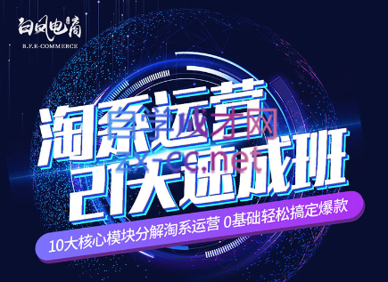 淘系运营21天速成班(更新24年6月)-心语项目网