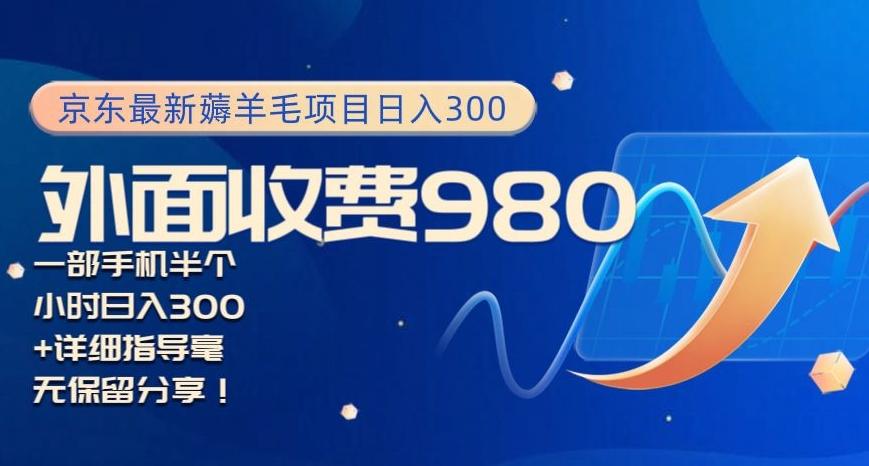 京东最新薅羊毛项目小白怎么做到日入300+一部手机半小时搞定-心语项目网