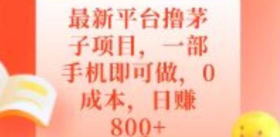 最新平台撸茅子项目，一部手机即可做，0成本，日赚800+-心语项目网