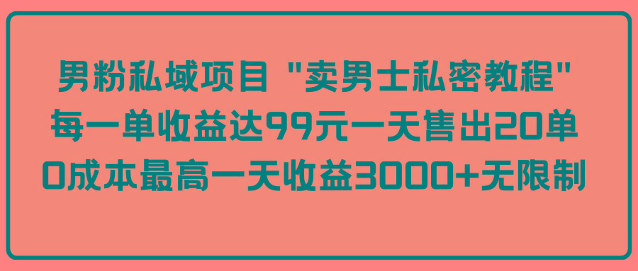 (9730期)男粉私域项目 “卖男士私密教程” 每一单收益达99元一天售出20单-心语项目网