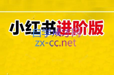 日日老师·小红书电商进阶版-心语项目网