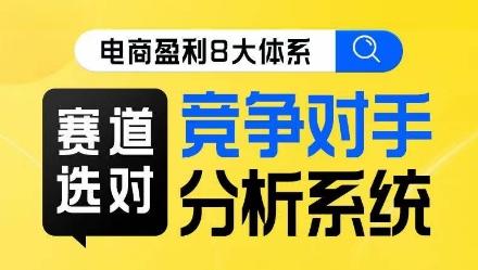 电商盈利8大体系·赛道选对，​竞争对手分析系统线上课-心语项目网