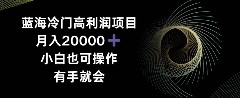 蓝海冷门高利润项目月入2000，小白也可操作有手就会-心语项目网