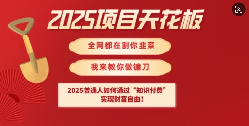 2025项目天花板普通人如何通过知识付费，实现财F自由【揭秘】-心语项目网