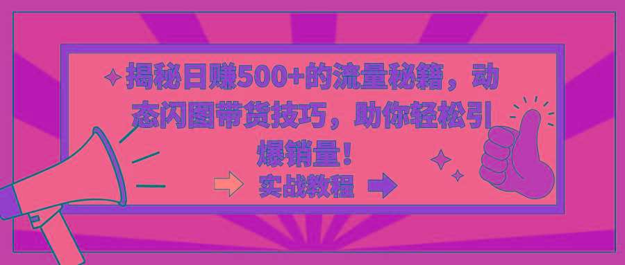 揭秘日赚500+的流量秘籍，动态闪图带货技巧，助你轻松引爆销量！-心语项目网