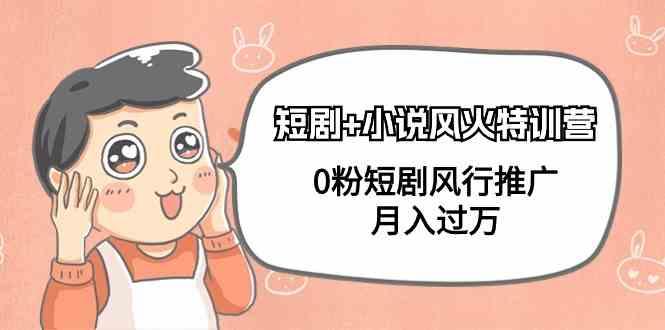 小说+短剧风火特训营，0粉短剧小说风行推广，实现月入过万-心语项目网